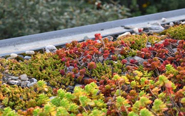 the cost of Dimsdale green roof installation