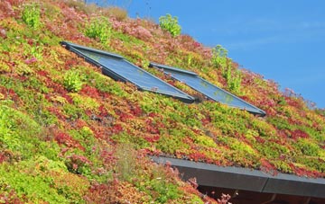 Dimsdale living roof systems
